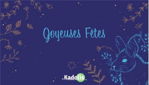 Joyeuses fêtes - FR