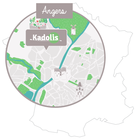 carte Kadolis